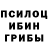Псилоцибиновые грибы Psilocybe rum kop