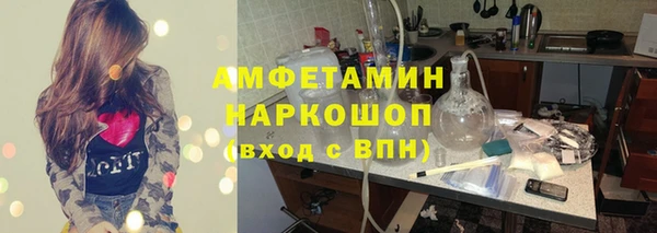 индика Богданович