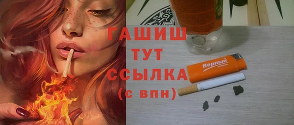 индика Богданович