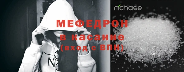 индика Богданович