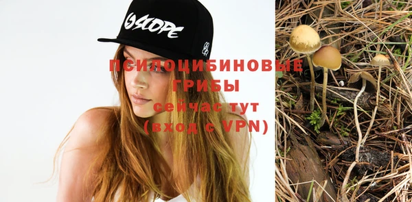индика Богданович