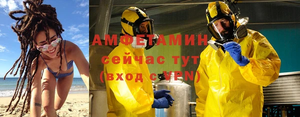 индика Богданович