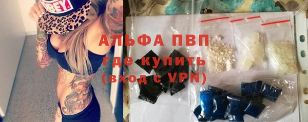 индика Богданович