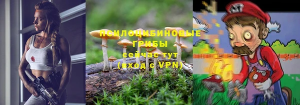 индика Богданович