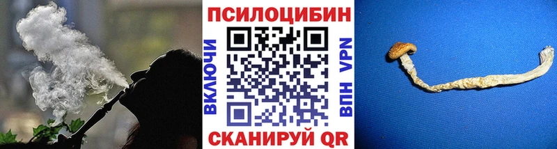 Псилоцибиновые грибы Magic Shrooms  OMG зеркало  Чкаловск 